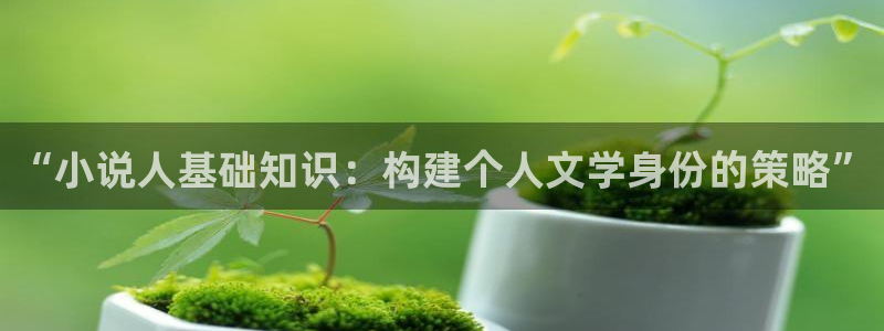 刘敏小亮全篇txt下载奇书网：“小说人基础知识：构建个人文学身份的策略”